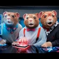 Des hamsters dansant sur Animals de Maroon 5