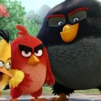 Le budget du #Film Angry Bird va s'élever à 185 Millions $. Produit par #Sony et #Riot, on pressent  un bide qui va coûter cher. On espè... [lire la suite]