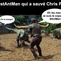 #CestAntman qui explique la scène culte de #JurassicWorld @disneyfr