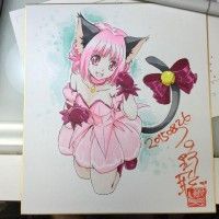 #DessinSurShikishi #TokyoMewMew http://www.tvhland.com/boutique/shikishi-board.html