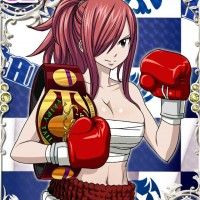 #FairyTail #ErzaScarlet boxe