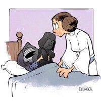 #DarkVador le doudou de #KyloRen #StarWarsLeRéveilDeLaForce #Parodie de Brian Kesinger #Humour