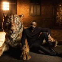 #LeLivreDeLaJungle #IdrisElba fait la voix de Shere Khan