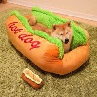 Un véritable hot-dog à déguster ou à câliner