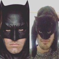 I am #Batman #Parodie avec un #Chat #Humour #DcComics