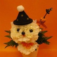 Art floral #Chien fleur #Halloween