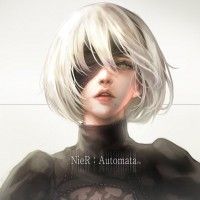 #Nier:automata