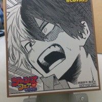 #Shikishi #MyHeroAcademia #ShoutoTodoroki