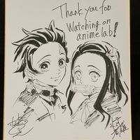 superbe shikishi Demon Slayer Kimetsu No Yaiba Nezuko et Tanjiro Kamado anime animation