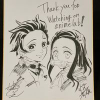 superbe shikishi Demon Slayer Kimetsu No Yaiba Nezuko et Tanjiro Kamado anime animation