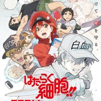 anime Les Brigades Immunitaires Hataraku Saibou Cells at Work ! saison 2 en janvier 2021