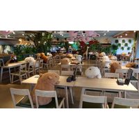 Des peluches Capybaras pour maintenir la distanciation sociale au restaurant du zoo Izu Shabonten à Shizuoka au Japon