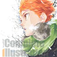 Artbook Complete Illustration Book Haikyu