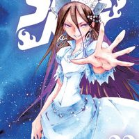 Shaman King 32 Hiroyuki Takei