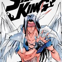 Shaman King 33 Hiroyuki Takei