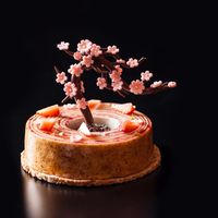 Pâtisserie Julien Perrinet Sakura Japon