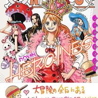 ONE PIECE novel HEROINES