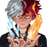 My Hero Academia Shoto Todoroki