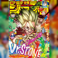 Dr. Stone