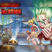 Dr. Stone