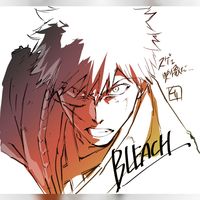 Bleach