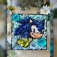 Sonic avec des fleurs par @tomoe_ohara