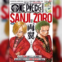 One Piece Sanji Vinsmoke Roronoa Zoro