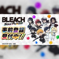 Bleach Soul Puzzle