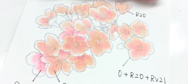 Tuto Copic : Colorier des fleurs de cerisiers aux feutres COPIC