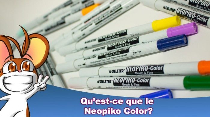 Qu'est-ce que le Neopiko Color?