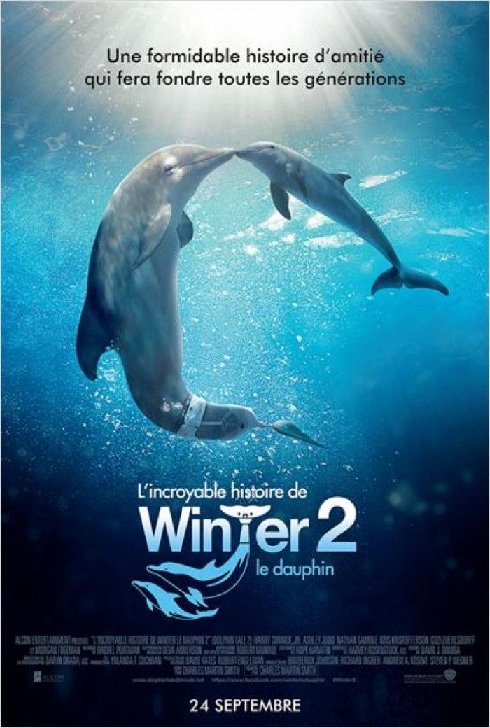 Critique de L'Incroyable Histoire de Winter le Dauphin 2: un film qui ferait plaisir aux amoureux des animaux!