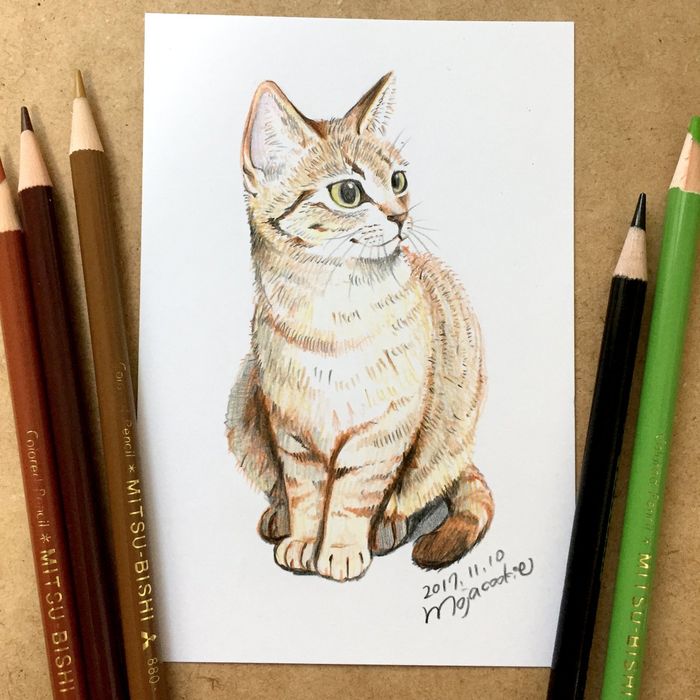 Dessiner Un Chat Aux Crayons De Couleurs