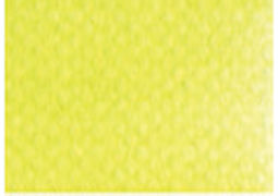 PANPASTEL Bright Yellow Green