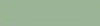 PITT Pastel Terre Verte (172)