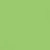 Soft Pastel MUNGYO Fluorescent Green