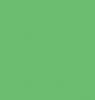 Neopiko-Color 216 Grass Green