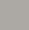 Neopiko-Color 576 Warm Grey 6