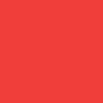 Polychromos Rouge Cadmium Clair (117)