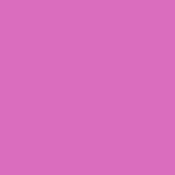 Polychromos Magenta clair (119)