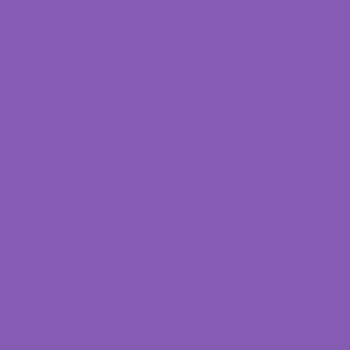 Polychromos Violet (138)
