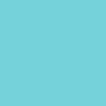 Polychromos Turquoise Cobalt Clair (154)
