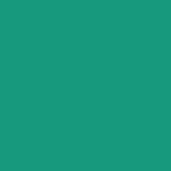 Polychromos Vert Oxyde Chrome Ardent (276)