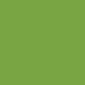 Polychromos Terre Verte Jaunâtre (168)
