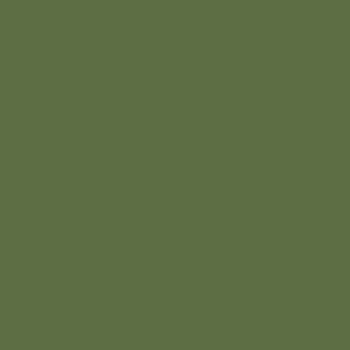 Polychromos Vert Oxyde Chrome Opaque (174)