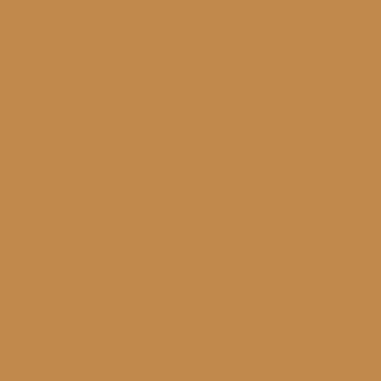 Polychromos Ocre Brun (182)