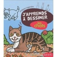 J apprends à  dessiner les chats