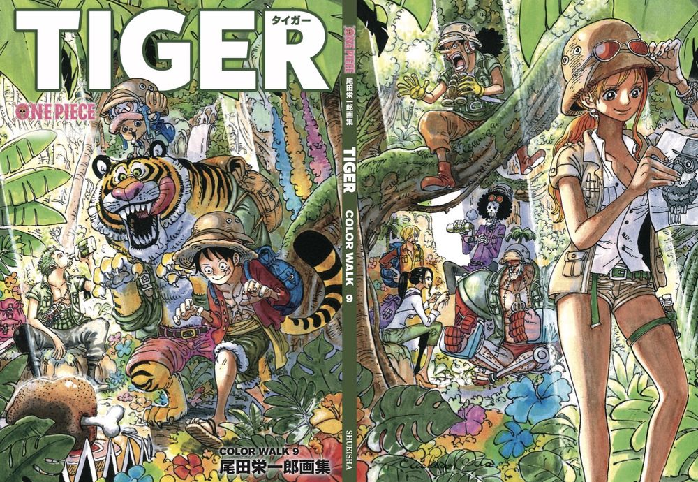 Video Dessin Artbook One Piece Color Walk 9 Tiger Par Eiichiro Oda