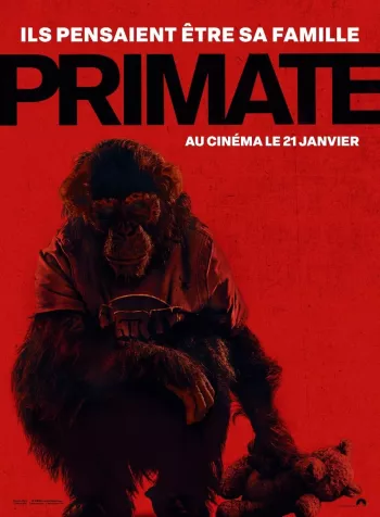 critique-primate