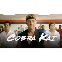 cobra kai